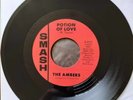 The Ambers - Potion Of Love 7