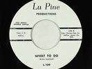 R&B Soul 45 - Ohio Untouchables - What To Do - Lu Pine
