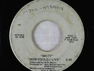 Psych Folk Downer 45 - Britt - How Could I Live - Private - obscure