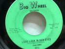 FALCONS   Love Look In Her Eyes. 1967 soul 45. Northern. EX. HEAR Mp3