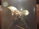 Young Sick Camellia by St. Paul & the Broken Bones (Record, 2018)