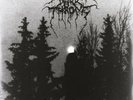 Panzerfaust by Darkthrone (Record, 2011)