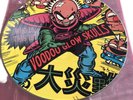 Woodoo Glow Skull Vintage Vinyl “Who Is, This Is?”