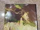 Taylor Swift Fearless Taylor's 3 LP Version Germany Import  RARE RED