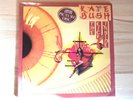 +++RARITÄT+++ Picture Disc - LP - Kate Bush - The kick inside - Limited Edition