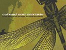 Coheed and Cambria Second Stage Turbine Blade (Vinyl)