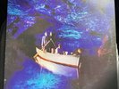 Ocean Rain: Echo and the Bunnymen (1984, Sire, LP, Original Press) w/ Inner