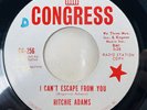 Ritchie Adams I Can’t Escape From You Killer Northern Soul Promo 45 Rpm READ