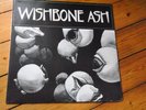 Wishbone Ash – Lorelive Date (US STEEL BLADE / m-)