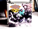 Diamond And The Psychotic Neurotics - Stunts Blunts & Hip Hop 2xLP Diamond D