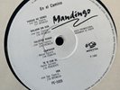 GRUPO MANDINGO / Y TE VI CON EL / Vinyl Record 33 Rpm Promo