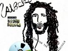 ALBOROSIE MEETS THE ROOTS RADICS Dub For The Radicals LP NEW VINYL Greensleeves