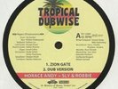 HORACE ANDY + SLY & ROBBIE Zion Gate 12
