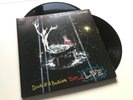 Panic  At The Disco - Death Of A Bachelor Tour Live 2xLP Vinyl | Power Pop Rock
