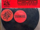 Promo Vinyl - Thunder In My Heart, Thunderdome, DJ, Single Side, Hardore, Gabber