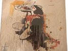 Peter Doherty Grace/Wastelands Vinyl LP (2009) New unplayed First Pressing