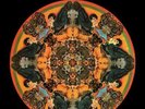 DAVID AXELROD: SONG OF INNOCENCE [LP vinyl]