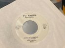 MAL PRACTICE 7” VINYL DEVILS TRIANGLE GG ALLIN ON DRUMS NM. 1977