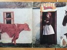 Vashti Bunyan Just Another Diamond Day Original 1970 pressing