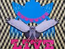 HAWKWIND - LIVE SEVENTY  NINE LP Bronze 1980 with WINDHOG'S DOGS # 4 BOOKLET