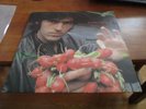 ROBYN HITCHCOCK - Invisible Hitchcock - Lp - 1st Press - 1986  Soft Boys