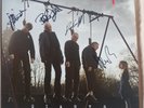 The Stranglers Giants album collectors 