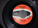 JUDY CLAY...YOU BUSTED MY MIND.. USA ISSUE SINGLE..SCEPTER...SCE 12157