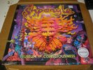 Shpongle - Museum Of Consciousness double LP new sealed Twisted reissue