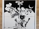 MELLOW CANDLE - Swaddling Songs reissue LP (acid folk freak private press)