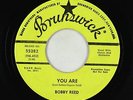 Northern Soul 45 - Bobby Reed - You Are - Brunswick