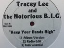 TRACEY LEE & NOTORIOUS B.I.G. KEEP YA HANDS HIGH 12