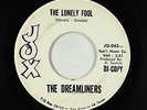 Northern Soul Girl Group 45 - Dreamliners - The Lonely Fool - Jox