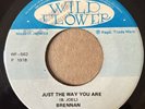 Lovers Rock BRENNAN Just The Way You Are 45 Billy Joel 7