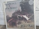 Edie Brickell - Ghost Of A Dog 1990 US 1st - Vinyl Record LP Album Alt Indie EX
