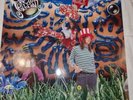 Jellyfish, Bellybutton, Vinyl VG+/VG-, Charisma Cuslp3 1990
