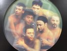 Rammstein Mutter Picture Vinyl