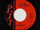 Sweet Soul/Funk Garage 45 - Castaways - If Our Love Is Strong - PIT