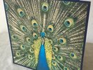 The Bluetones - 'Expecting To Fly'  1996 LP Limited Numbered Gatefold Sleeve