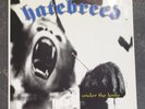 Hatebreed Under The Knife 7