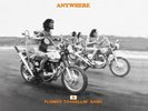 FLOWER TRAVELLIN' BAND - ANYWHERE, PICTURE DISC (VINYL LP) NEW/SEALED