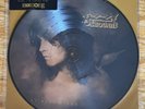 No More Tears Ozzy Osbourne RSD Picture Disc LP RSD 2021 Limited MINT  NEW
