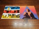 5 LPs Vinyl Police Synchronicity Ghost In The Machine Outlandos D´Amour Reggatta