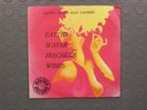 Gianni Safred alle tastiere Patter Waver Golden Record 45 giri 7