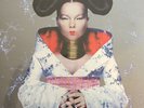 Bjork ‎– Homogenic (1997) One Little Indian ‎– TPLP71 vinyl NEW sealed LP UK