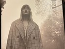 taylor swift folklore vinyl clandestine meetings