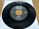 1963 RARE Garage   Adrian Lloyd - Justine / She Treats Me Better    PUNK?