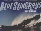 Blue Stingrays Surf 'N' Burn (Vinyl) (US IMPORT)