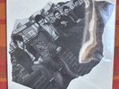 The Undertones. Self Titled Album. 1st Pressing Vinyl. PORKY PRIME vg+