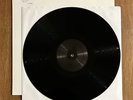 Evanescence - The Bitter Truth vinyl TEST PRESSING record RARE