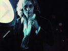 Warren Zevon Warren Zevon (Vinyl) 12